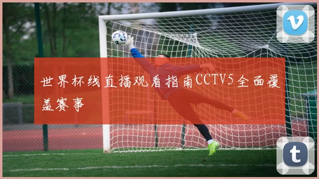 世界杯线直播观看指南CCTV5全面覆盖赛事