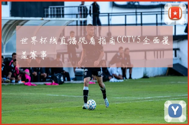 世界杯线直播观看指南CCTV5全面覆盖赛事